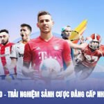 MM88 Sports – Experience the Most Classy Betting Lobby 2025