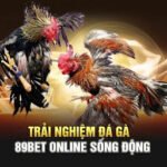Trải nghiệm đá gà online không cần ra trường – Vẫn nghe tiếng gáy “vàng”