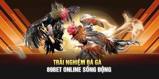 Trải nghiệm đá gà online không cần ra trường – Vẫn nghe tiếng gáy “vàng”